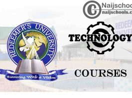 Redeemer’s University Courses for Technology Students