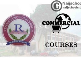 Renaissance University Courses for Commercial Students