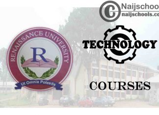 Renaissance University Courses for Technology Students
