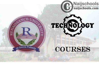Renaissance University Courses for Technology Students 