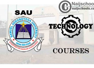 SAU Courses for Technology & Engine Students