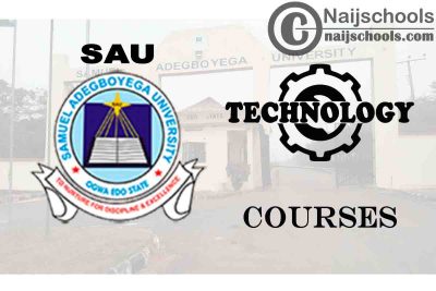 SAU Courses for Technology & Engine Students