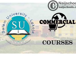 Salem University Courses for Commercial Students