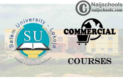 Salem University Courses for Commercial Students