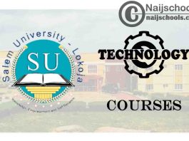 Salem University Courses for Technology Students