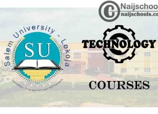 Salem University Courses for Technology Students