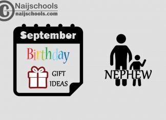 15 September Birthday Gifts to Buy for Your Nephew 2023