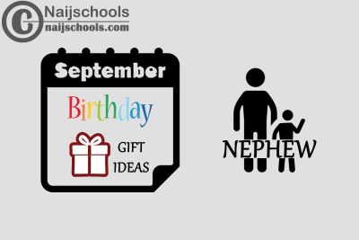 15 September Birthday Gifts to Buy for Your Nephew 2023