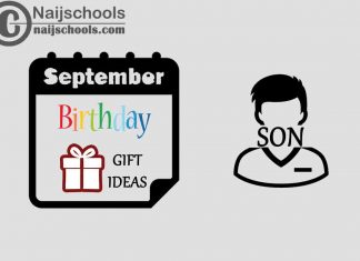 15 September Happy Birthday Gifts to Buy For Your Son