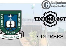 Veritas University Courses for Technology Students