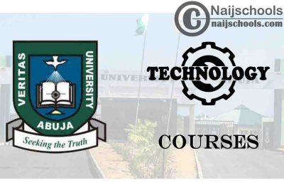 Veritas University Courses for Technology Students