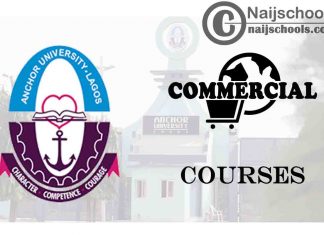 Anchor University Courses for Commercial Students