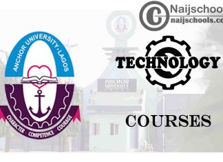 Anchor University Courses for Technology Students