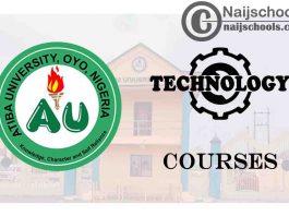 Atiba University Courses for Technology Students