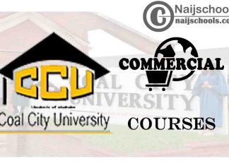CCU Courses for Commercial Students to Study