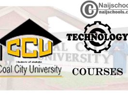 CCU Courses for Technology & Engine Students