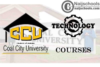 CCU Courses for Technology & Engine Students