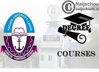 Degree Courses Offered in Anchor University