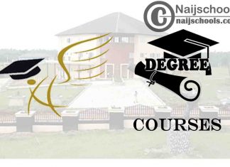 Degree Courses Offered in Arthur Jarvis University
