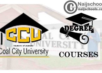Degree Courses Offered in CCU for Students