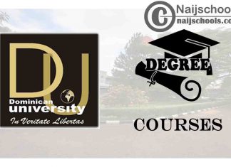 Degree Courses Offered in Dominican University Ibadan