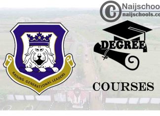 Degree Courses Offered in Dominion University