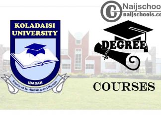 Degree Courses Offered in Koladaisi University