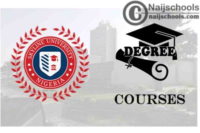 Degree Courses Offered in Skyline University Nigeria