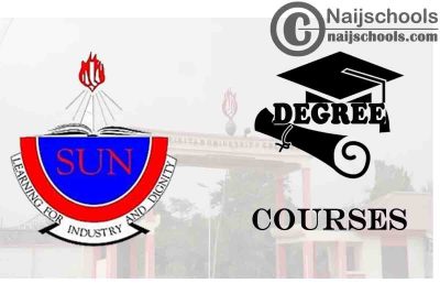 Degree Courses Offered in Spiritan University