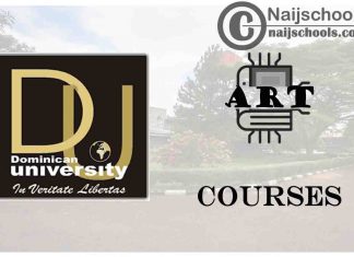 Dominican University Ibadan Courses for Art Students