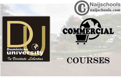 Dominican University Ibadan Courses for Commercial Students