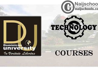 Dominican University Ibadan Courses for Technology Students