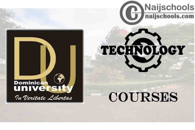 Dominican University Ibadan Courses for Technology Students