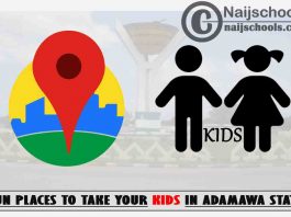 11 Fun Places to Take Your Kids in Adamawa State
