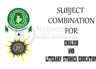 Subject Combination for English and Literary Studies Education