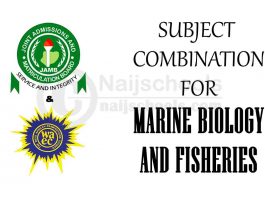 Subject Combination for Marine Biology and Fisheries: Jamb/Waec