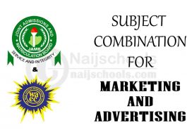 Subject Combination for Marketing and Advertising