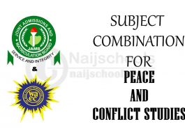 Subject Combination for Peace and Conflict Studies