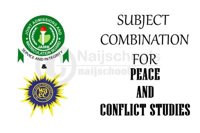 Subject Combination for Peace and Conflict Studies