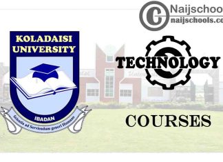 Koladaisi University Courses for Technology Students