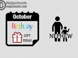 15 October Birthday Gifts to Buy For Your Nephew