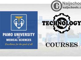 PUMS Courses for Technology Students