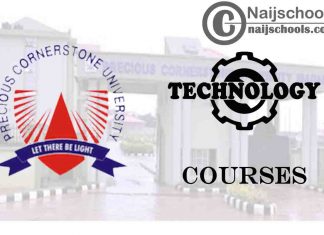 PCU Courses for Technology & Engine Students