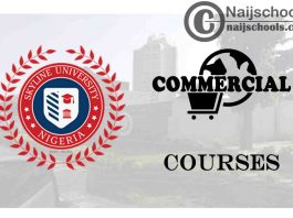 Skyline University Nigeria Courses for Commercial Students