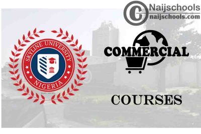 Skyline University Nigeria Courses for Commercial Students
