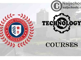 Skyline University Nigeria Courses for Technology Students