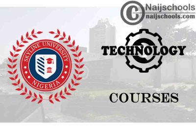 Skyline University Nigeria Courses for Technology Students