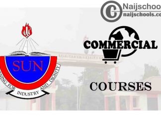 Spiritan University Courses for Commercial Students