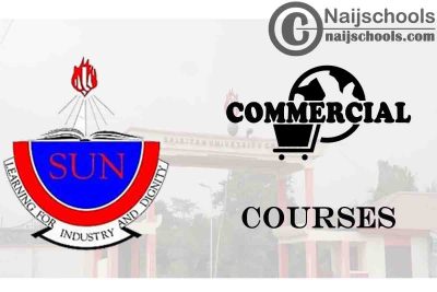 Spiritan University Courses for Commercial Students