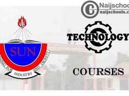 Spiritan University Courses for Technology Students